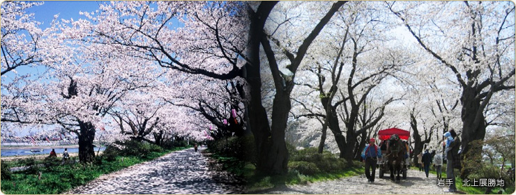 北上市 建設部都市計画課　きたかみ景観資産マップ